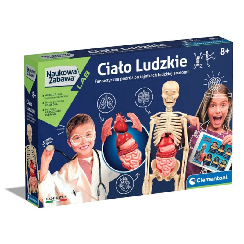 Anatomileksak människokropp modell med skelett, organ & DNA, 8+ år