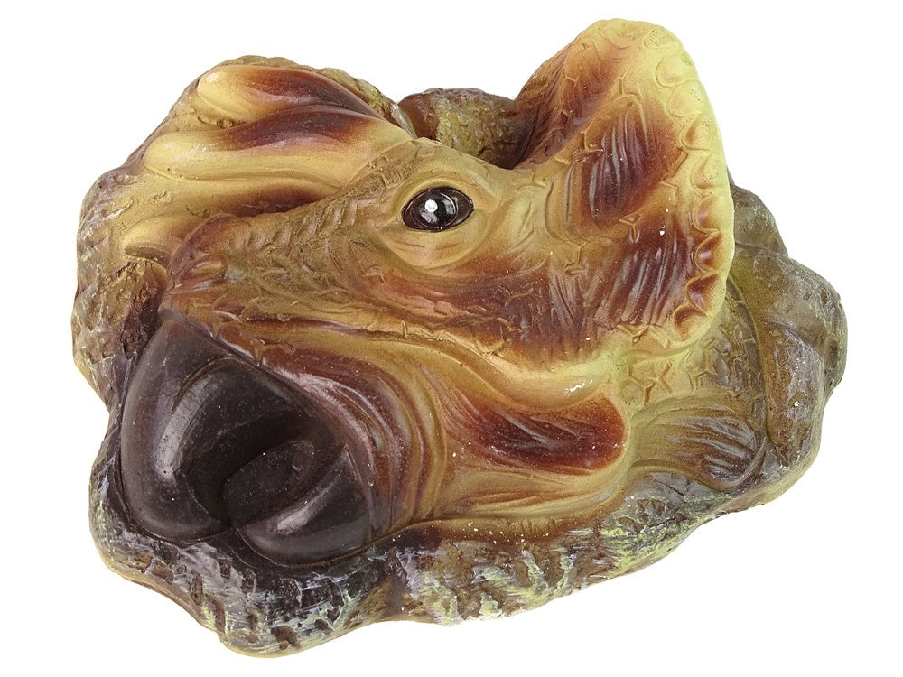 Arkeologiset Triceratops fossil 14x11 cm med grävverktyg, 6+ år