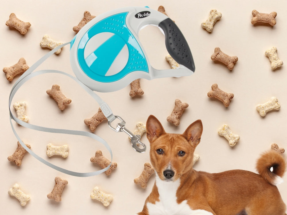 Automatiskt hundkoppel 5 m band för hund upp till 20 kg blå