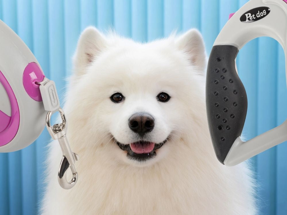 Automatiskt hundkoppel 5 m för hund upp till 20 kg rosa