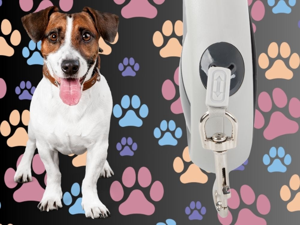 Automatiskt hundkoppel 5 m svart för hund upp till 20 kg