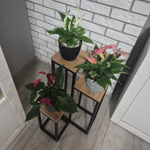 Blomsterställ 3 nivåer metall/MDF 67 cm svart 15 kg per hylla