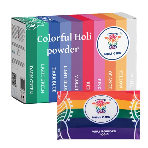 Holi färgpulver set 10x100 g påsar, 10 färger för fest och fotosession