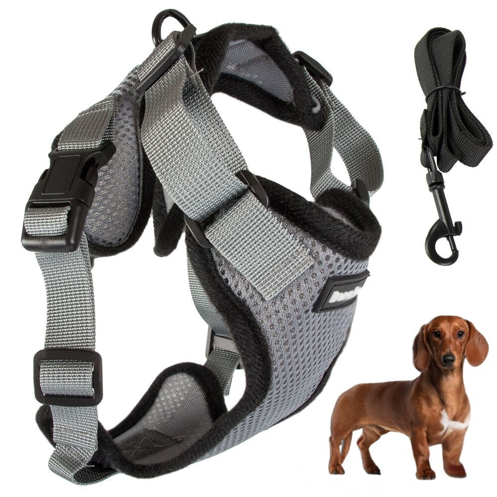 Hundsele M med avtagbart koppel 150 cm grå, hals 34–40 cm