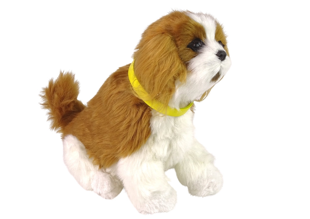 Interaktiv mjukishund Cavalier plysch 19 cm skäller & rör sig, 3+ år