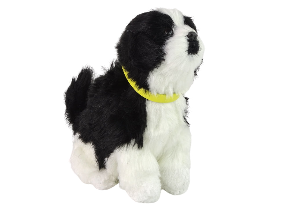 Interaktivt mjukisdjur hund Border Collie 19 cm med ljud och rörelse