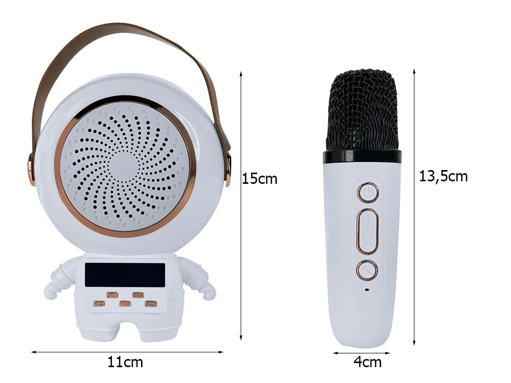 Karaokeanläggning Bluetooth-högtalare med LED och 2 trådlösa mikrofoner