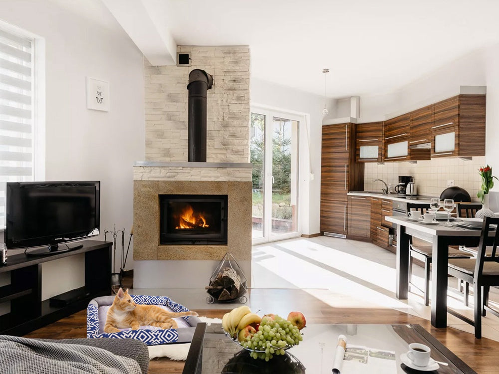 Kattbädd med klöspelare och liggmatta, storlek L, 65x50x7 cm