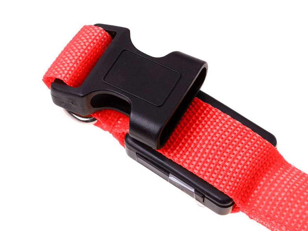 LED-halsband hund/katt justerbart 46–59 cm röd inkl batterier