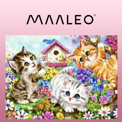 Måla efter nummer kit katter 40x50 cm med duk på ram, färg & penslar