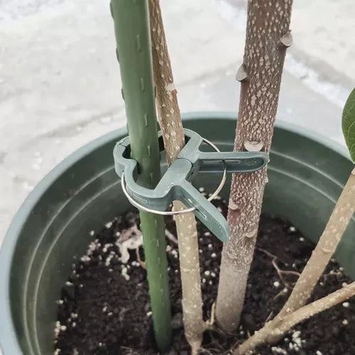 Plantklämmor för växtstöd 108-pack grön (54 små + 54 stora)