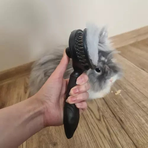 Självrengörande pälsborste med knapp för hund, katt och kanin svart