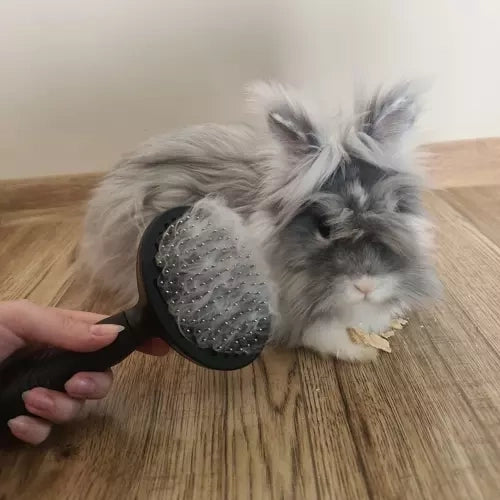 Självrengörande pälsborste med knapp för hund, katt och kanin svart