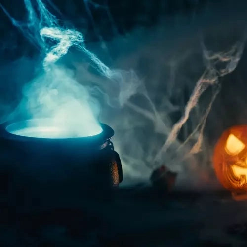 Spindelnät Halloween-dekoration 60 g vit med 2 spindlar, täcker 2,5 m²