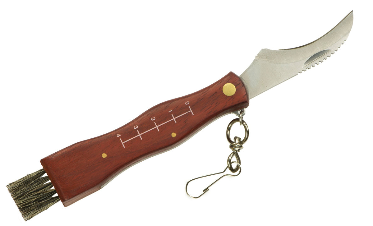 Svampkniv fickkniv med vikblad, trähandtag, borste och karbinhake 21 cm