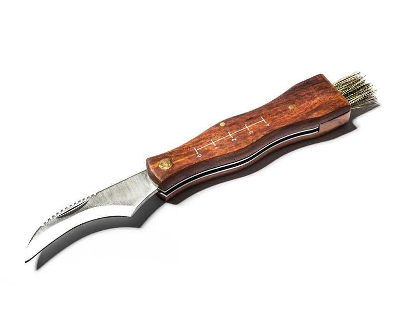 Svampkniv fickkniv med vikblad, trähandtag, borste och karbinhake 21 cm