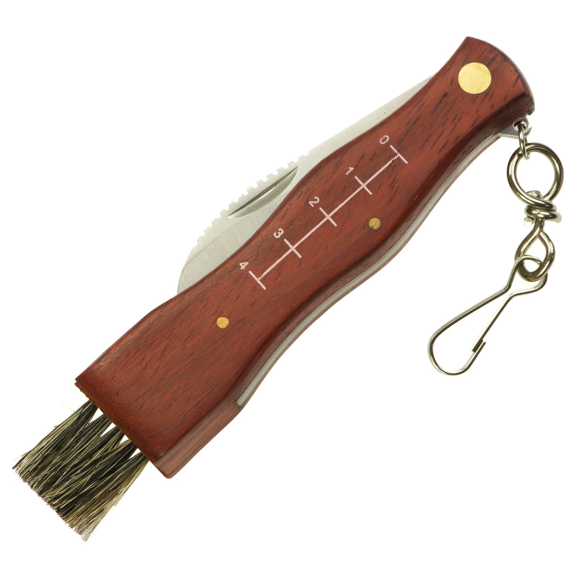 Svampkniv fickkniv med vikblad, trähandtag, borste och karbinhake 21 cm