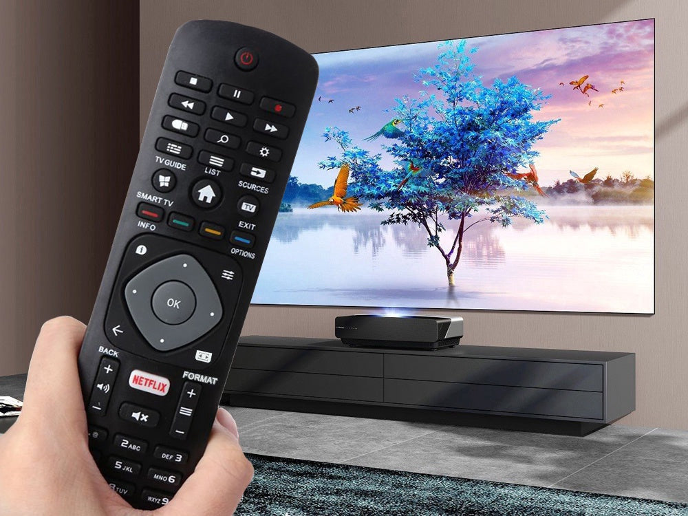 Universell fjärrkontroll för Philips TV, svart, 20,5 cm
