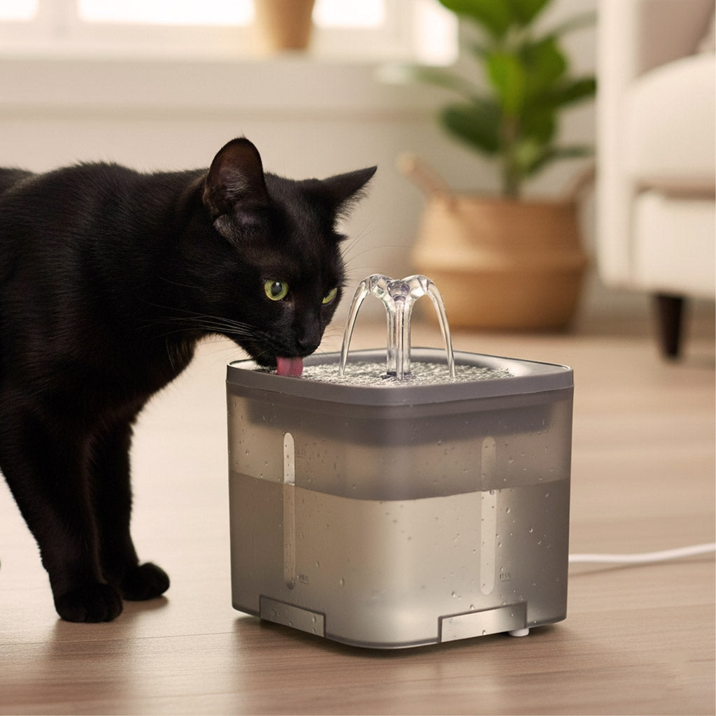 Vattenfontän hund & katt 2 L med aktivt kolfilter, tyst USB-pump