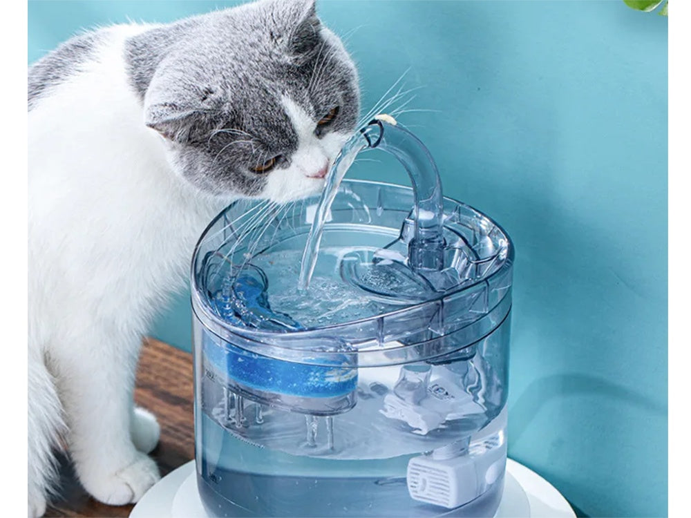Vattenfontän katt/hund 1,8 L USB med pump och kolfilter transparent