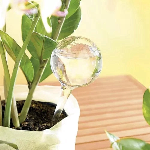 Vattningskulor 8-pack 280 ml transparent PVC för krukväxter