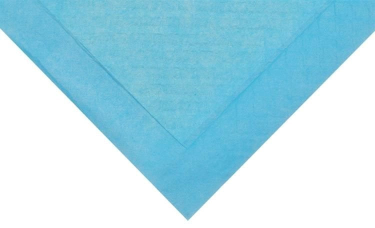 Absorberande engångsunderlag 60x45 cm 400 ml blå 50-pack