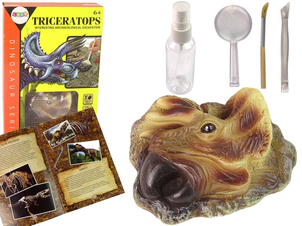Arkeologiset Triceratops fossil 14x11 cm med grävverktyg, 6+ år