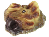 Arkeologiset Triceratops fossil 14x11 cm med grävverktyg, 6+ år