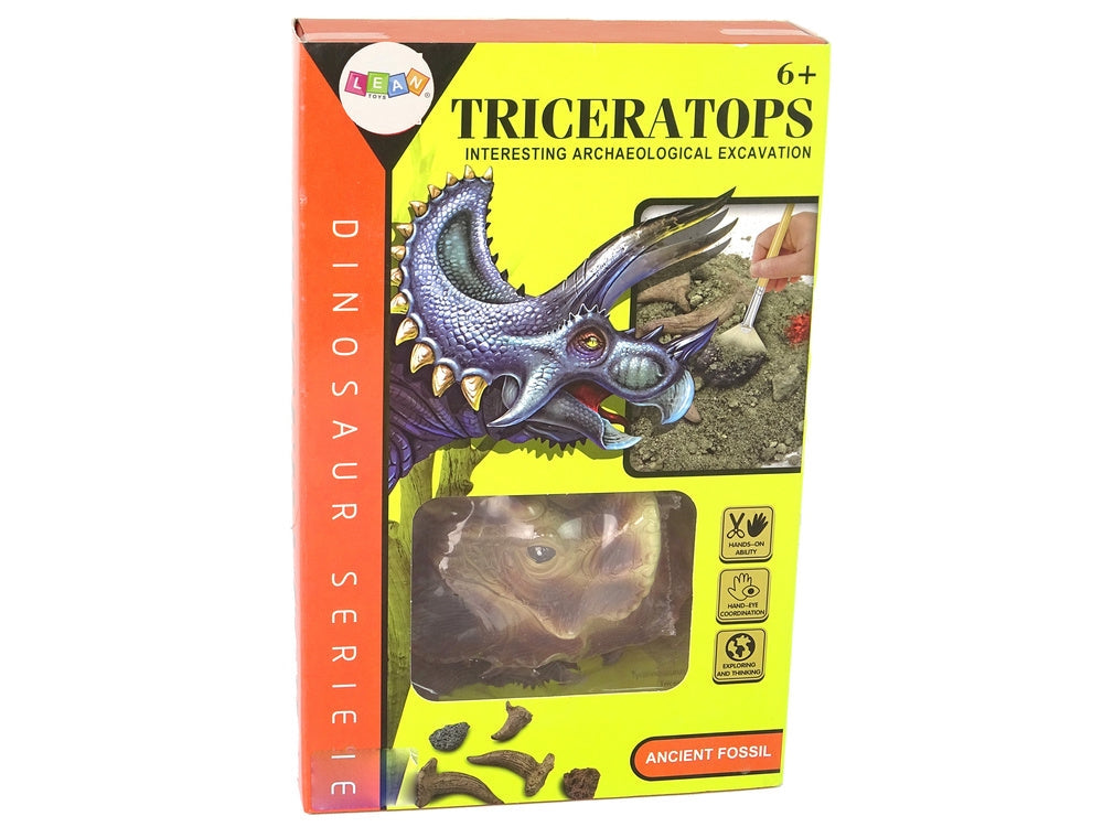 Arkeologiset Triceratops fossil 14x11 cm med grävverktyg, 6+ år