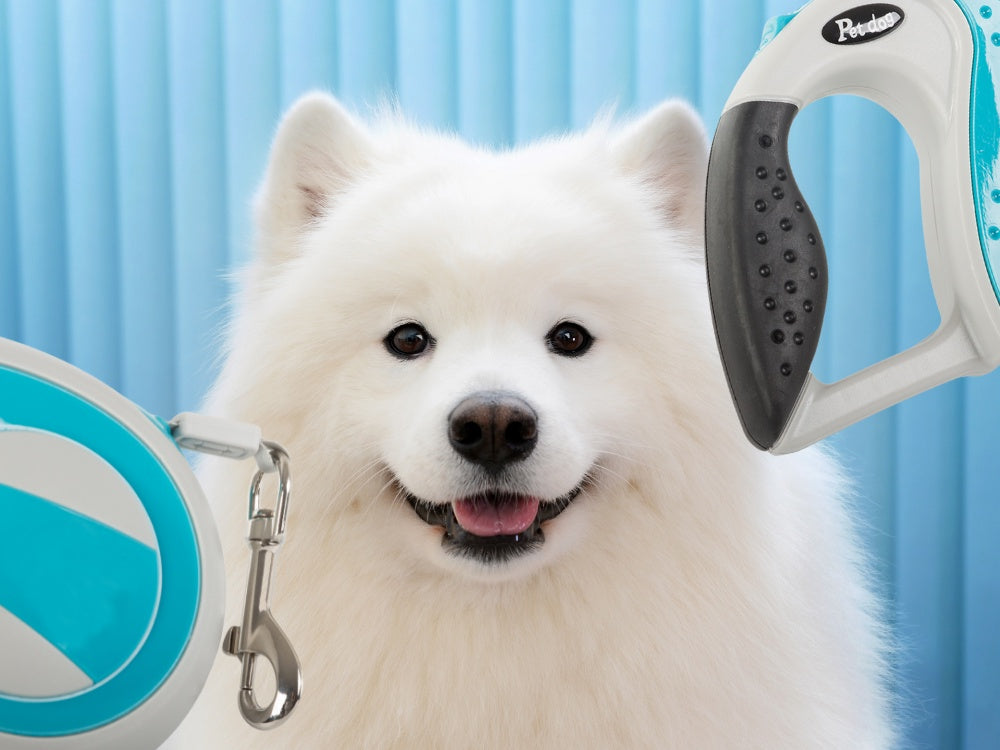Automatiskt hundkoppel 5 m band för hund upp till 20 kg blå