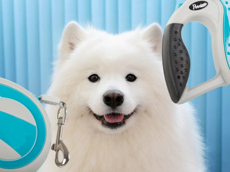 Automatiskt hundkoppel 5 m band för hund upp till 20 kg blå