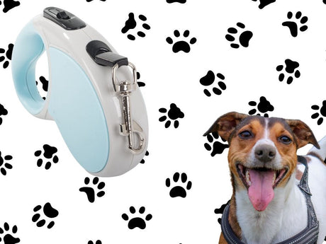 Automatiskt hundkoppel 5 m för hund upp till 15 kg blå