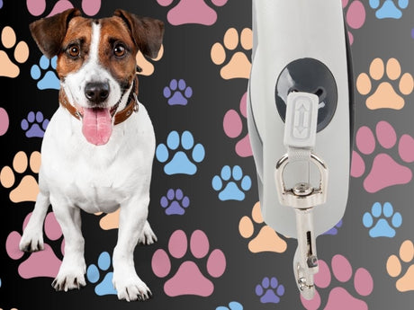 Automatiskt hundkoppel 5 m svart för hund upp till 20 kg