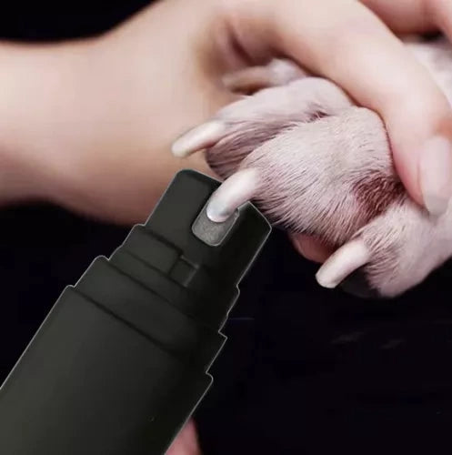 Elektrisk kloslip för husdjur USB-laddning 2 skydd + sax hund katt