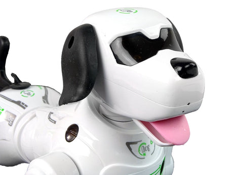 Fjärrstyrd robot-hund interaktiv med ljusögon och ångeffekt 25 cm