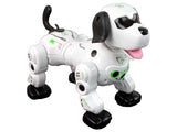 Fjärrstyrd robot-hund interaktiv med ljusögon och ångeffekt 25 cm
