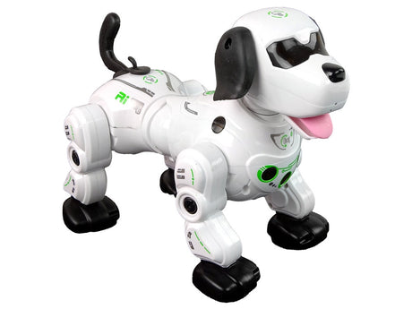 Fjärrstyrd robot-hund interaktiv med ljusögon och ångeffekt 25 cm