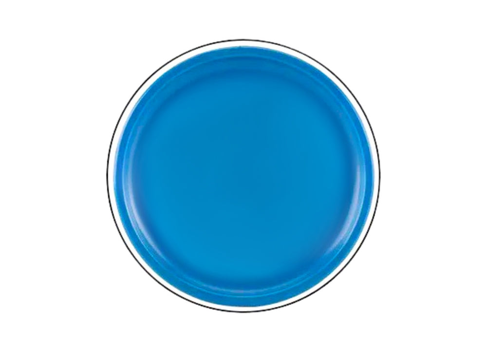 Frisbee i skum 20 cm med dinosauriemotiv blå, från 3 år