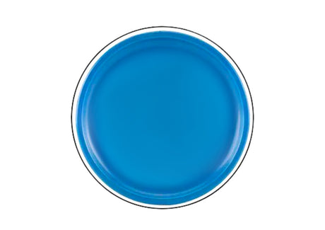 Frisbee i skum 20 cm med dinosauriemotiv blå, från 3 år