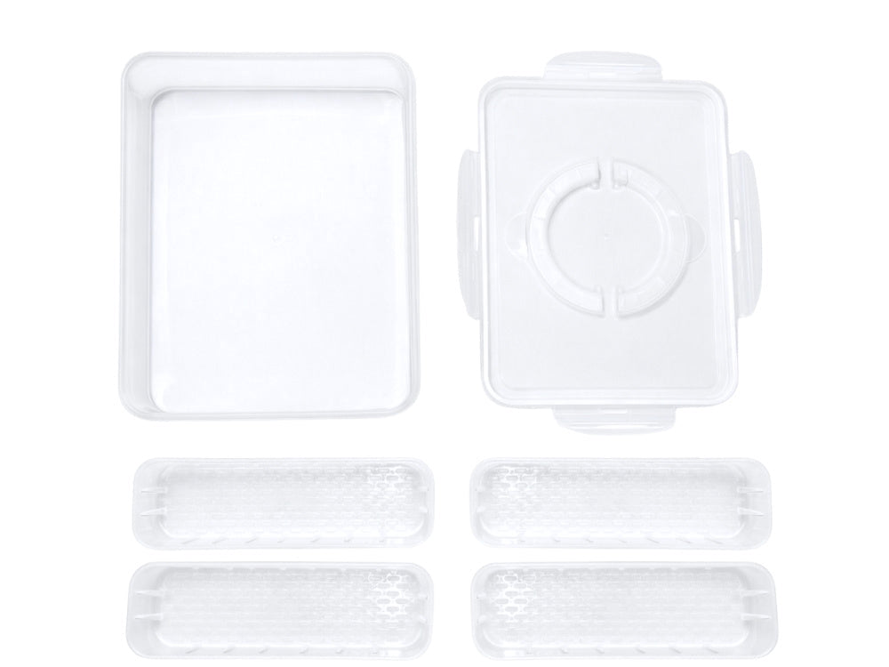 Förvaringslåda med lock 4 fack 29,5x22x7 cm plast transparent/vit