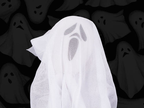 Hängande Halloween-dekoration spöke tyg/plast svart/vit 65 cm