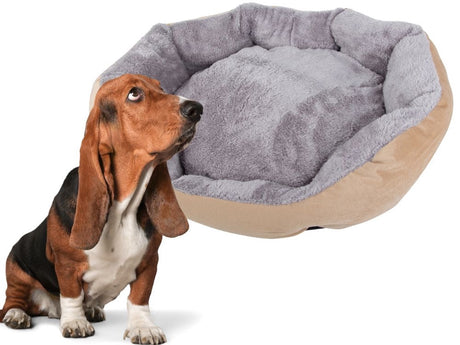Hundbädd med avtagbar dyna 60x55x15 cm för medelstor hund