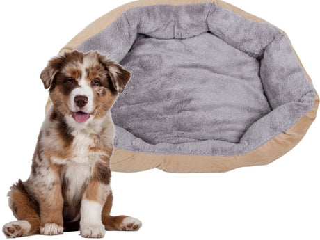 Hundbädd med avtagbar dyna 60x55x15 cm för medelstor hund