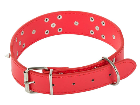 Hundhalsband med nitar ekologiskt läder XL 43–53 cm slumpfärg