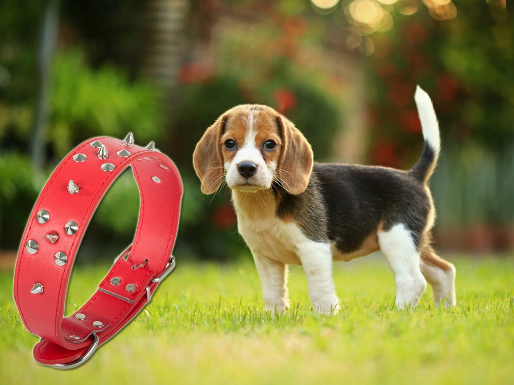 Hundhalsband med nitar ekologiskt läder XL 43–53 cm slumpfärg