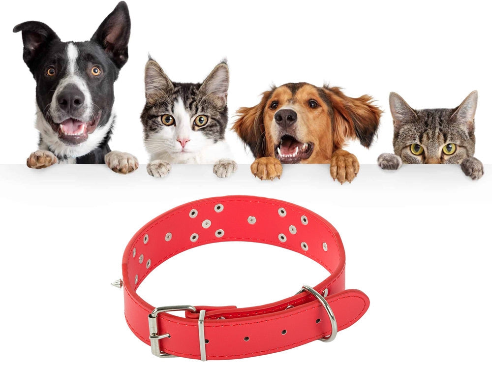 Hundhalsband med nitar ekologiskt läder XL 43–53 cm slumpfärg