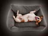 Hund- och kattbädd M 60x45 cm ribbad manchester beige halkfri