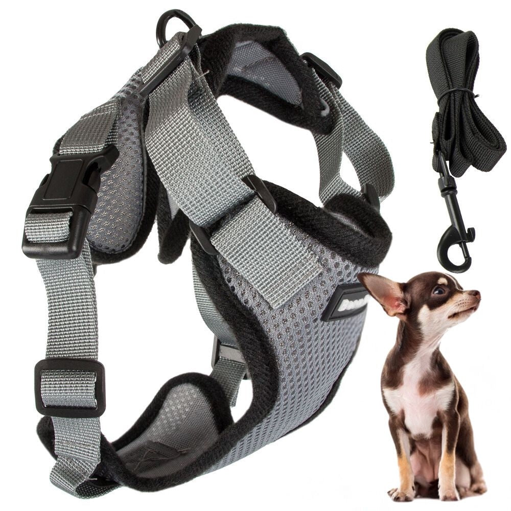 Hundsele S med reflex och avtagbart koppel 150 cm grå