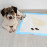 Hygienunderlag hund 60x60 cm 100-pack + hundbajspåsar 30 st