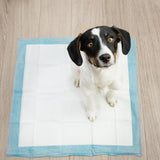 Hygienunderlag hund 60x60 cm vattentäta 50-pack + bajspåsar 30 st